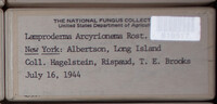 Image Associated With the Occurence